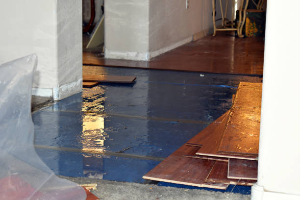 Professional Sewage Cleanup technician working in Embarrass, WI
